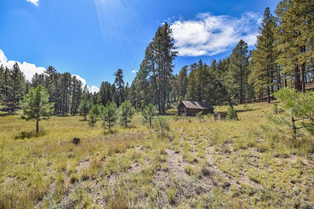 Image 1 of property listing at 27.5 Acres Jemez Mountains Forest Rd 10, Jemez Springs, NM 87025