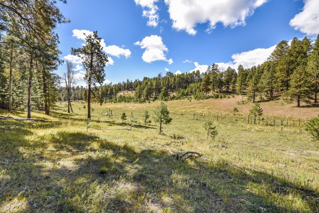 Image 2 of property listing at 27.5 Acres Jemez Mountains Forest Rd 10, Jemez Springs, NM 87025