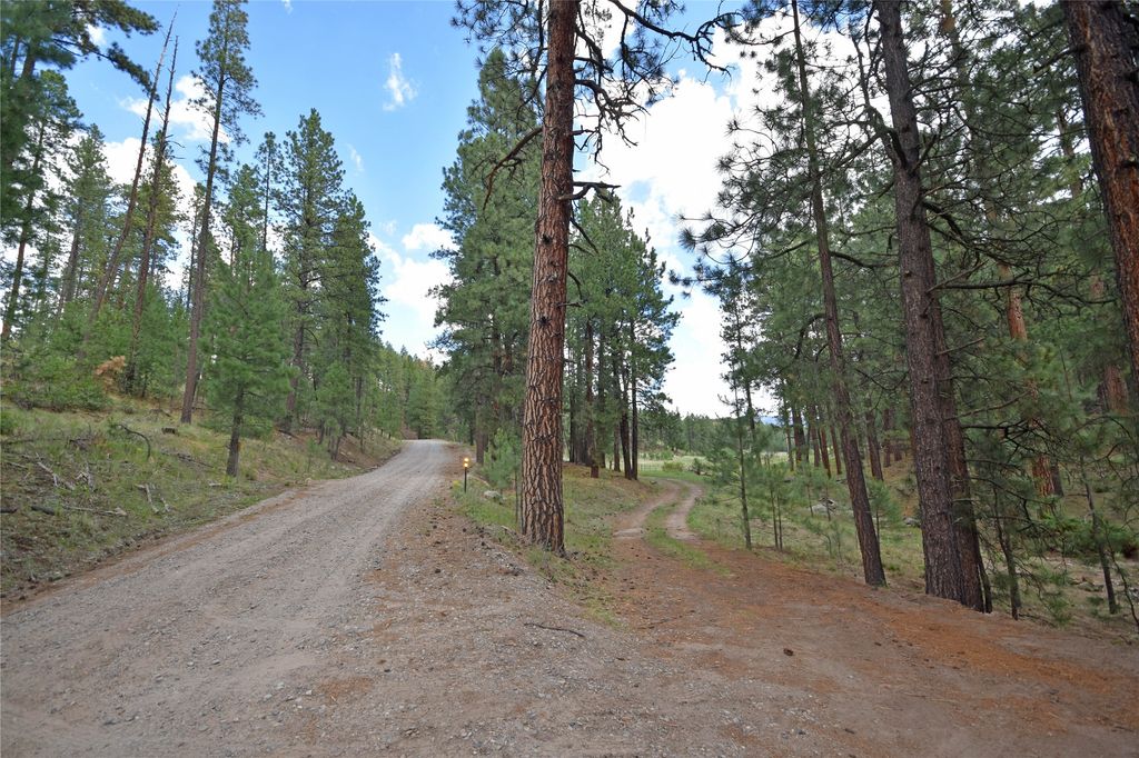 Image 28 of property listing at 27.5 Acres Jemez Mountains Forest Rd 10, Jemez Springs, NM 87025
