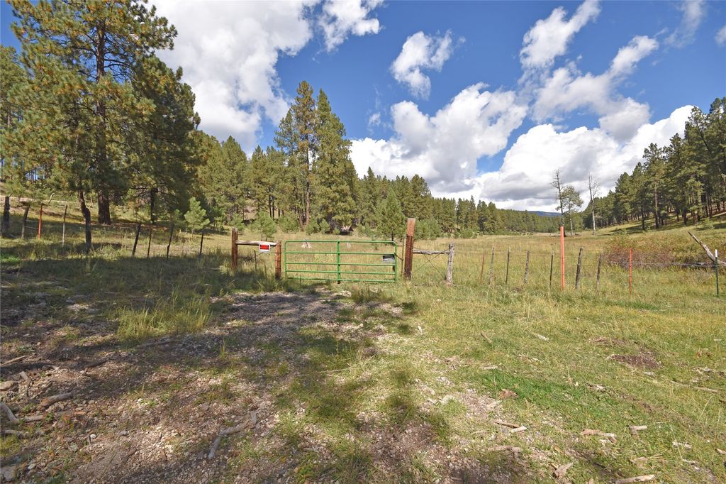 Image 3 of property listing at 27.5 Acres Jemez Mountains Forest Rd 10, Jemez Springs, NM 87025