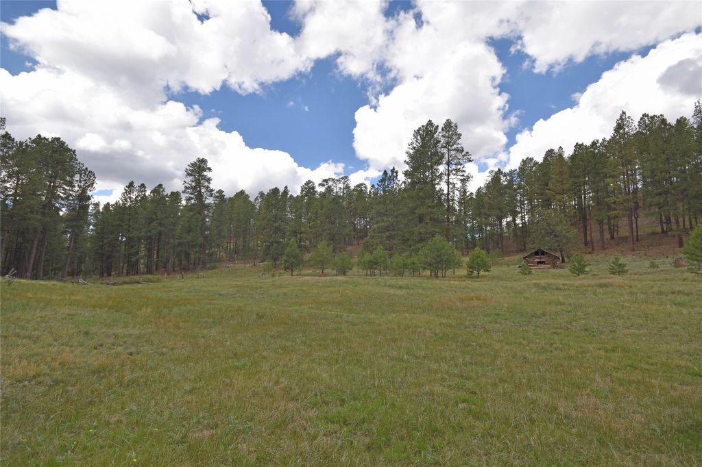 Image 30 of property listing at 27.5 Acres Jemez Mountains Forest Rd 10, Jemez Springs, NM 87025