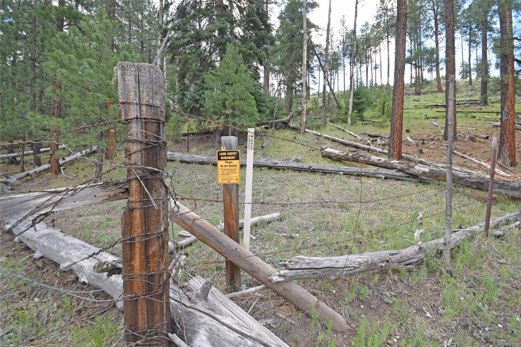 Image 31 of property listing at 27.5 Acres Jemez Mountains Forest Rd 10, Jemez Springs, NM 87025