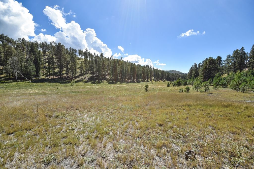 Image 32 of property listing at 27.5 Acres Jemez Mountains Forest Rd 10, Jemez Springs, NM 87025