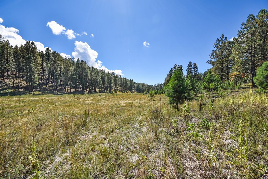 Image 33 of property listing at 27.5 Acres Jemez Mountains Forest Rd 10, Jemez Springs, NM 87025