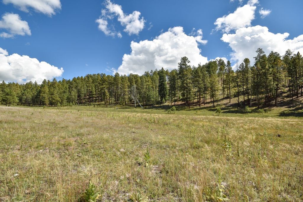 Image 35 of property listing at 27.5 Acres Jemez Mountains Forest Rd 10, Jemez Springs, NM 87025