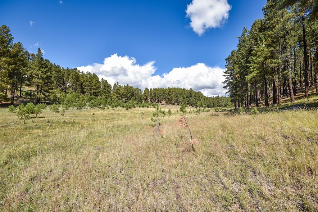 Image 37 of property listing at 27.5 Acres Jemez Mountains Forest Rd 10, Jemez Springs, NM 87025