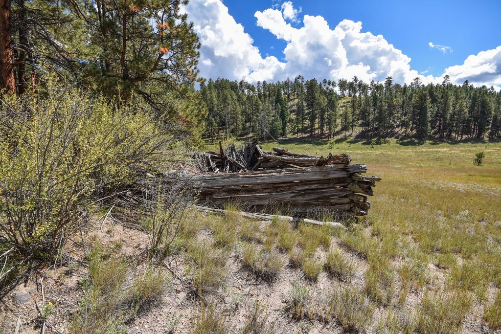 Image 39 of property listing at 27.5 Acres Jemez Mountains Forest Rd 10, Jemez Springs, NM 87025
