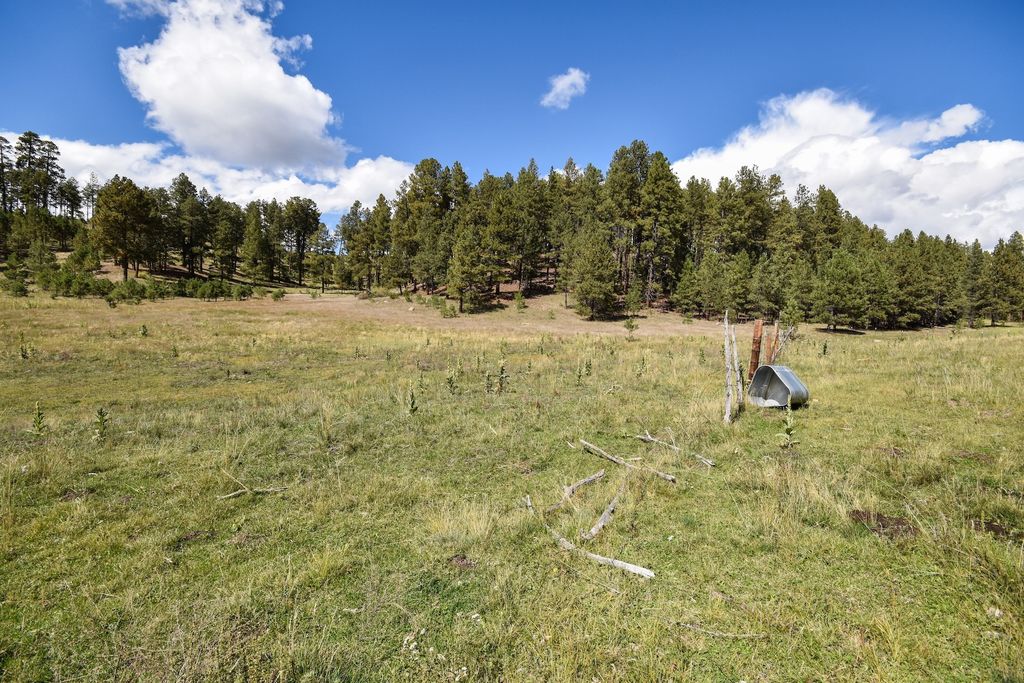 Image 42 of property listing at 27.5 Acres Jemez Mountains Forest Rd 10, Jemez Springs, NM 87025