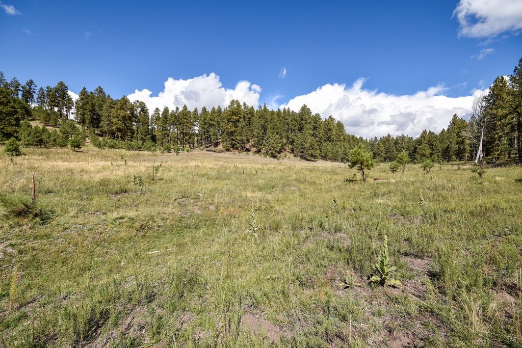 Image 43 of property listing at 27.5 Acres Jemez Mountains Forest Rd 10, Jemez Springs, NM 87025