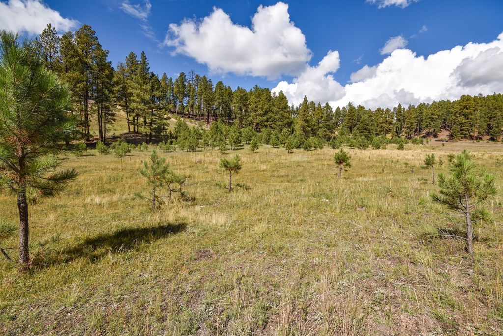 Image 45 of property listing at 27.5 Acres Jemez Mountains Forest Rd 10, Jemez Springs, NM 87025