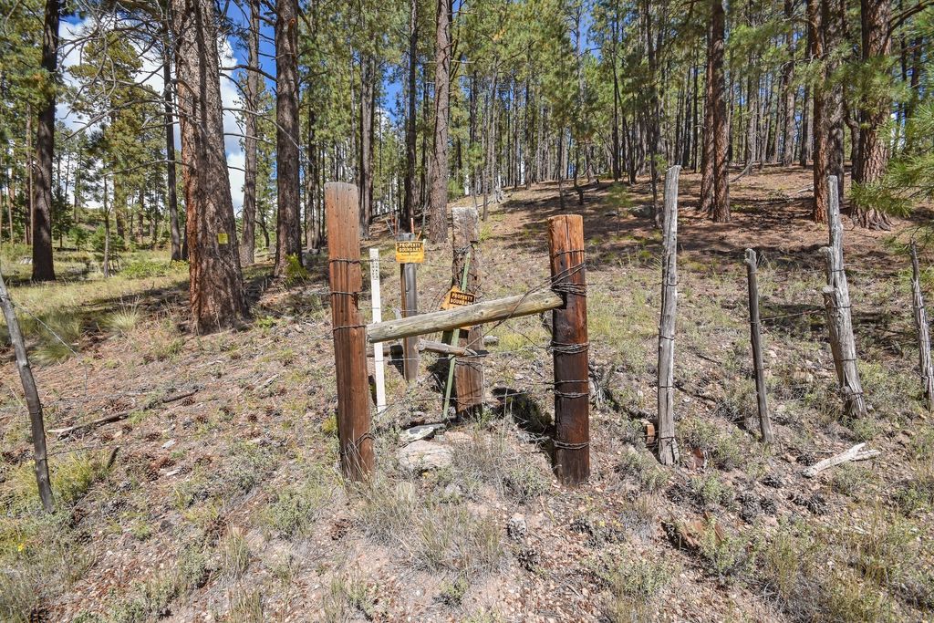 Image 46 of property listing at 27.5 Acres Jemez Mountains Forest Rd 10, Jemez Springs, NM 87025