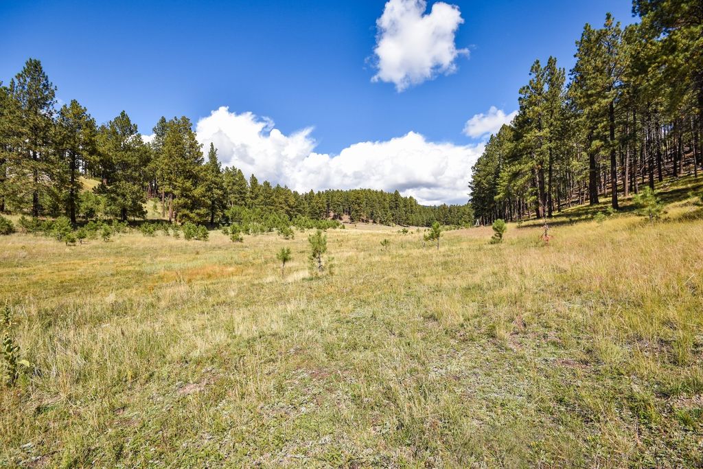 Image 47 of property listing at 27.5 Acres Jemez Mountains Forest Rd 10, Jemez Springs, NM 87025
