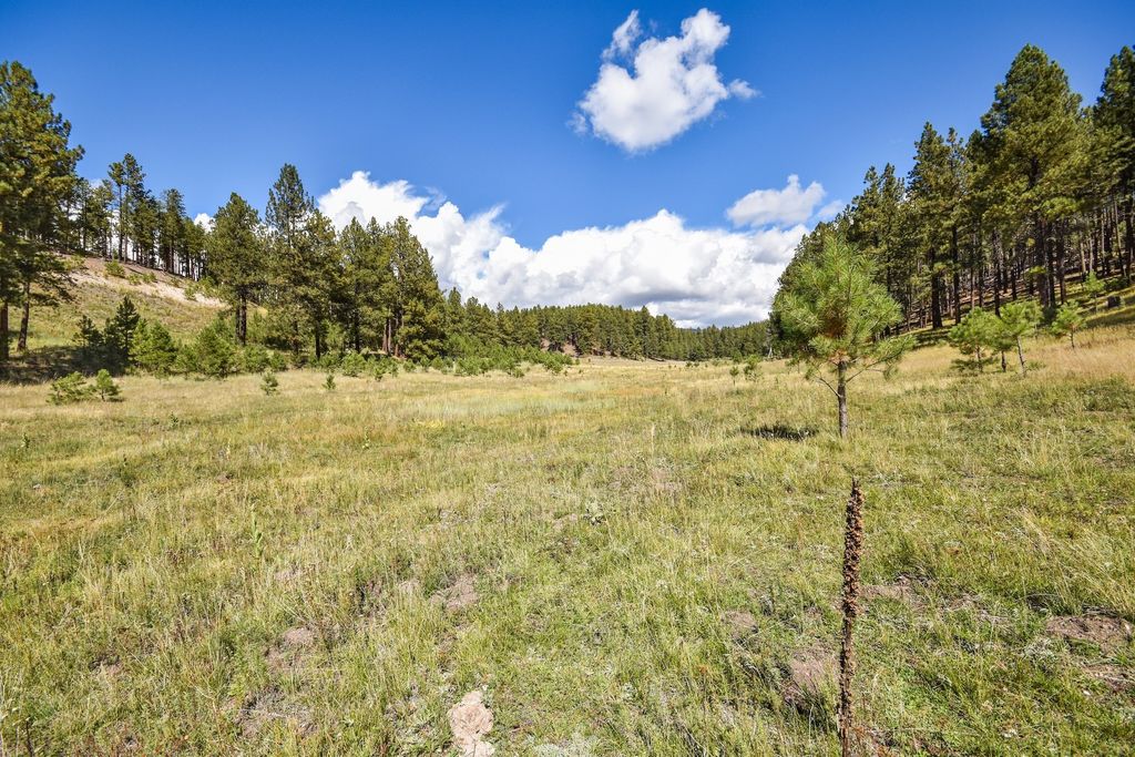 Image 48 of property listing at 27.5 Acres Jemez Mountains Forest Rd 10, Jemez Springs, NM 87025