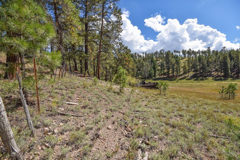 Image 49 of property listing at 27.5 Acres Jemez Mountains Forest Rd 10, Jemez Springs, NM 87025