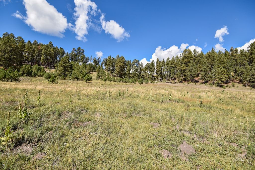 Image 51 of property listing at 27.5 Acres Jemez Mountains Forest Rd 10, Jemez Springs, NM 87025