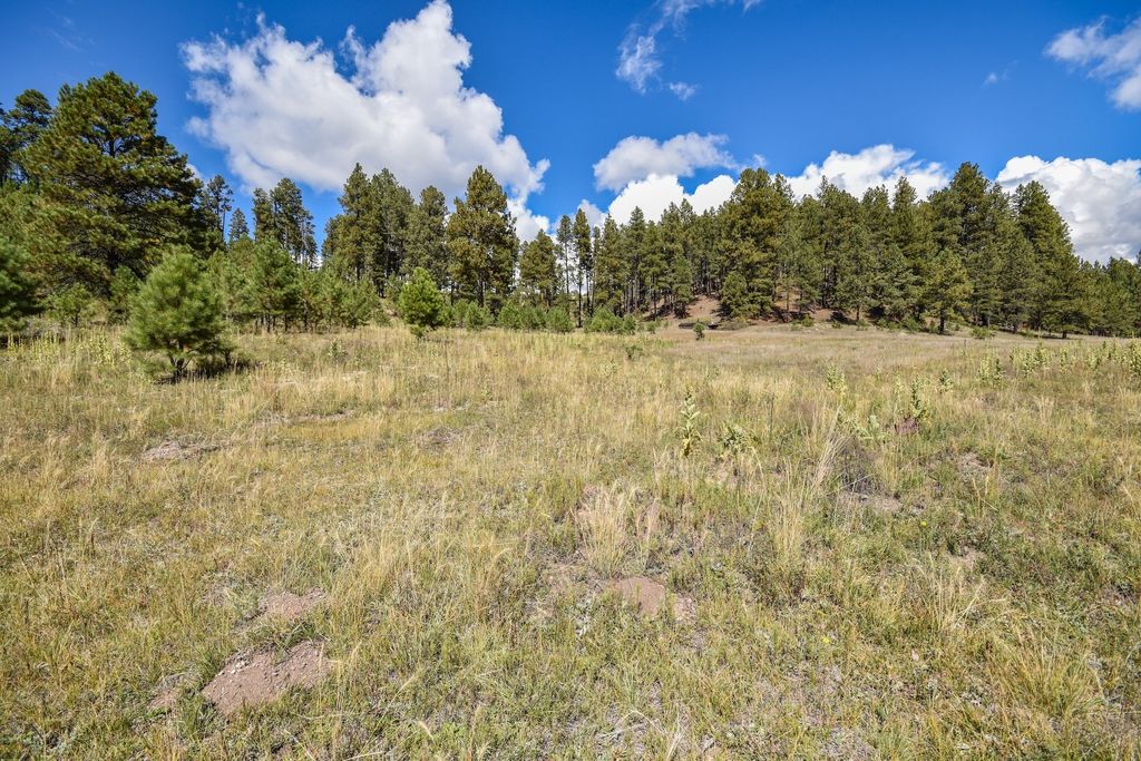 Image 52 of property listing at 27.5 Acres Jemez Mountains Forest Rd 10, Jemez Springs, NM 87025