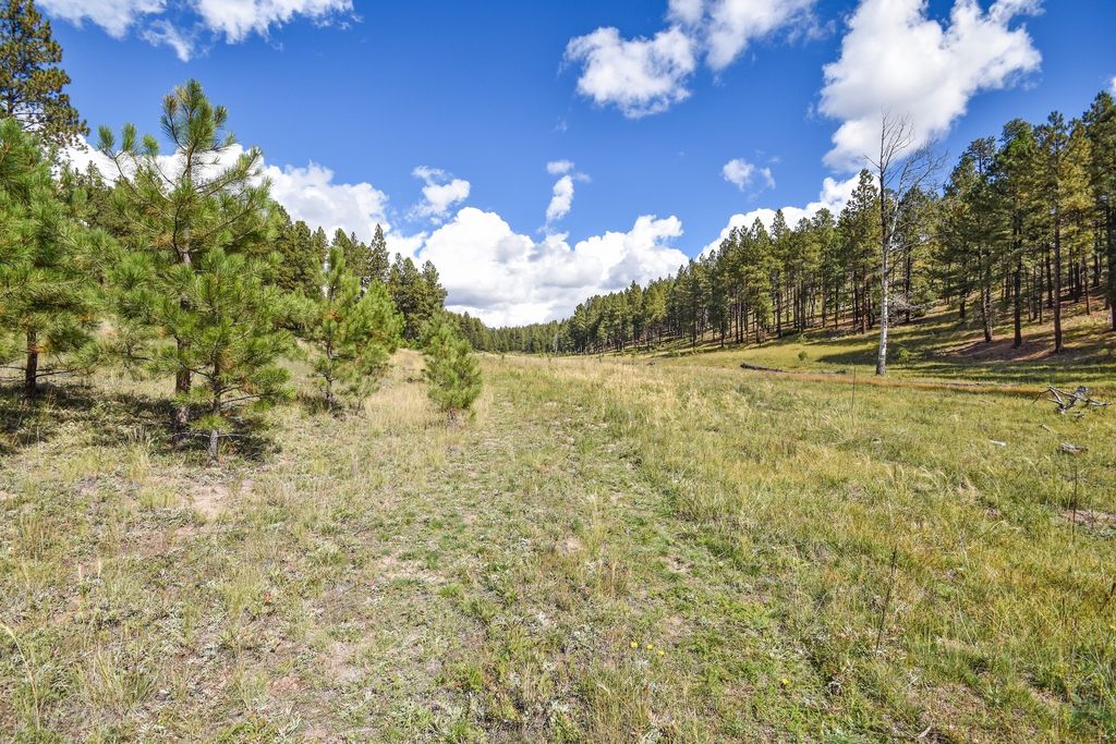 Image 53 of property listing at 27.5 Acres Jemez Mountains Forest Rd 10, Jemez Springs, NM 87025