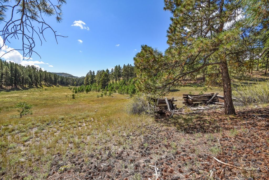 Image 54 of property listing at 27.5 Acres Jemez Mountains Forest Rd 10, Jemez Springs, NM 87025