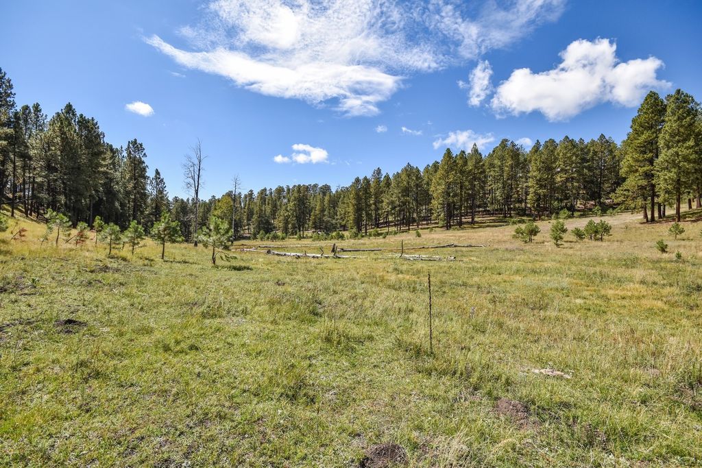 Image 55 of property listing at 27.5 Acres Jemez Mountains Forest Rd 10, Jemez Springs, NM 87025
