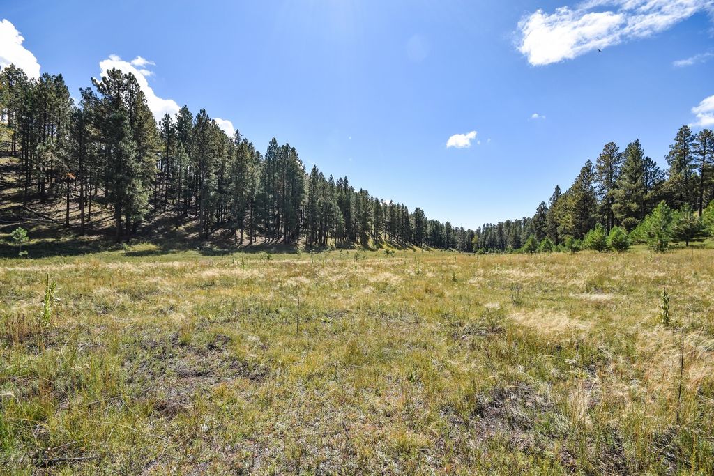 Image 57 of property listing at 27.5 Acres Jemez Mountains Forest Rd 10, Jemez Springs, NM 87025