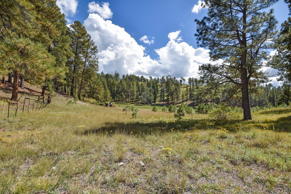 Image 58 of property listing at 27.5 Acres Jemez Mountains Forest Rd 10, Jemez Springs, NM 87025