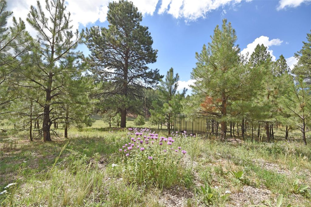 Image 6 of property listing at 27.5 Acres Jemez Mountains Forest Rd 10, Jemez Springs, NM 87025