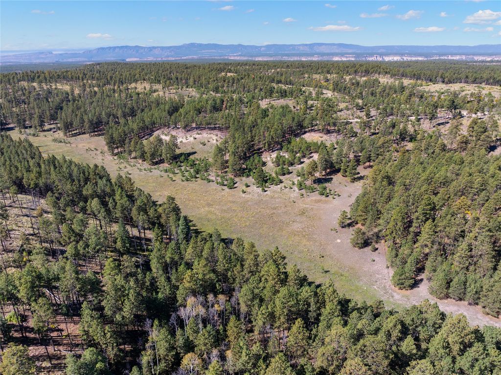 Image 60 of property listing at 27.5 Acres Jemez Mountains Forest Rd 10, Jemez Springs, NM 87025