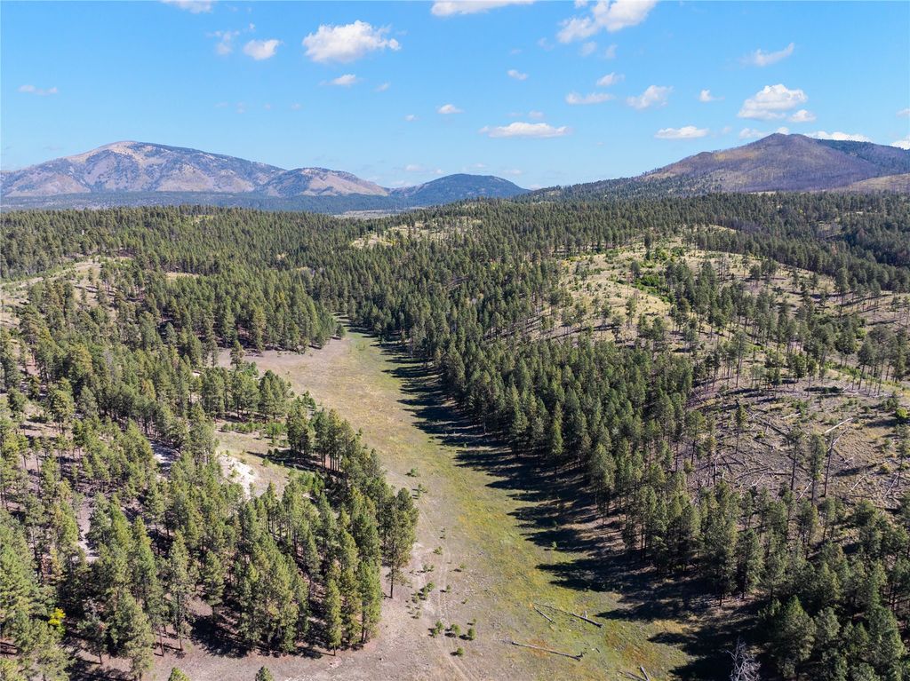 Image 61 of property listing at 27.5 Acres Jemez Mountains Forest Rd 10, Jemez Springs, NM 87025