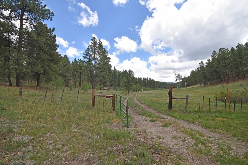 Image 7 of property listing at 27.5 Acres Jemez Mountains Forest Rd 10, Jemez Springs, NM 87025