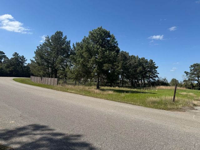 803 Lizzie Lane, Tomball, TX 77375