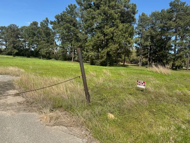 803 Lizzie Lane, Tomball, TX 77375