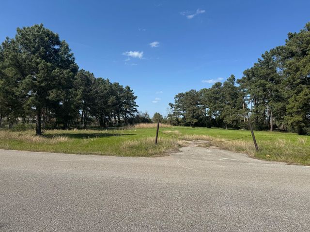 803 Lizzie Lane, Tomball, TX 77375