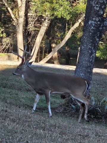 686 Cattlebaron Parc Drive, Fort Worth, TX 76108