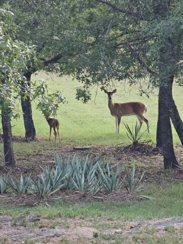 686 Cattlebaron Parc Drive, Fort Worth, TX 76108