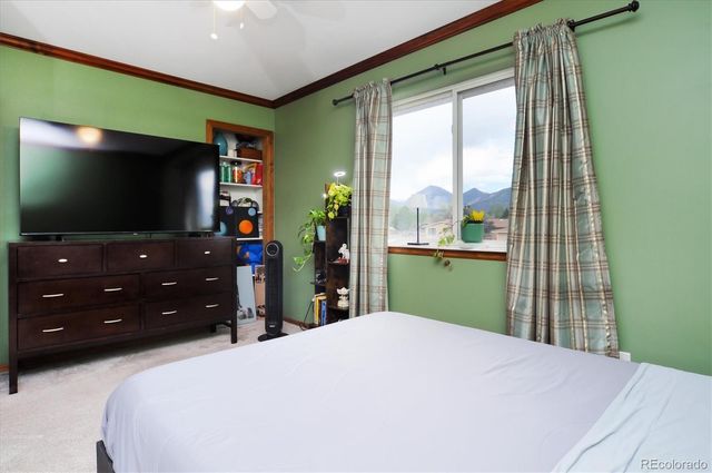 172 Larissa Lane, Buena Vista, CO 81211