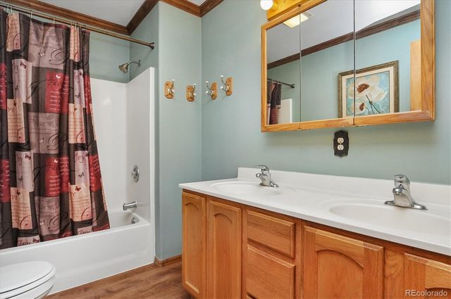 172 Larissa Lane, Buena Vista, CO 81211