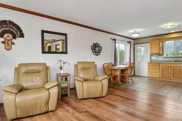 172 Larissa Lane, Buena Vista, CO 81211