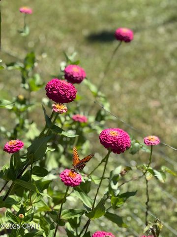 3380 Caverns Road, Marianna, FL 32446