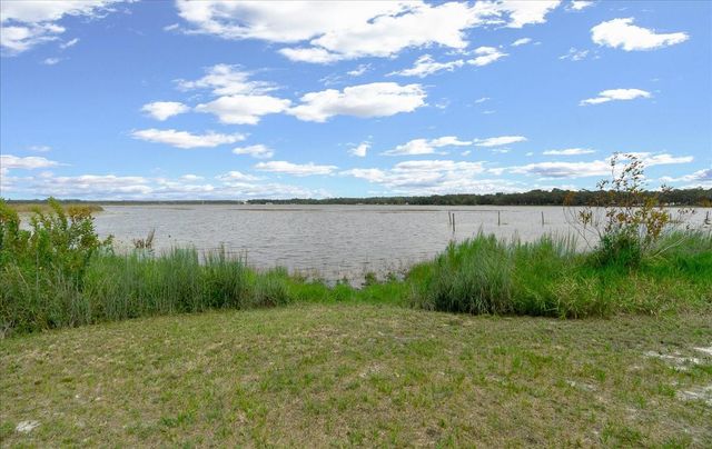 25094 NE 132ND LANE, Salt Springs, FL 32134