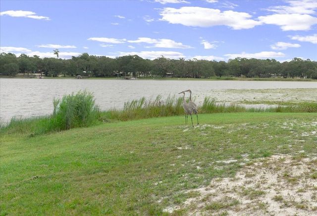 25094 NE 132ND LANE, Salt Springs, FL 32134