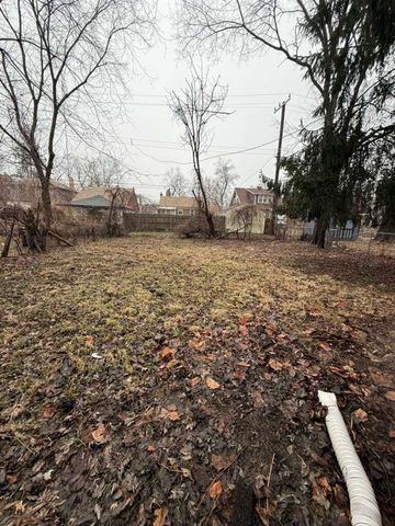 16584 Blackstone Street, Detroit, MI 48219