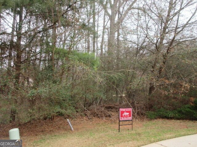 710 Donner Court, Mcdonough, GA 30252