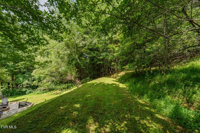 703 Pinecrest Street, Mountain City, TN 37683