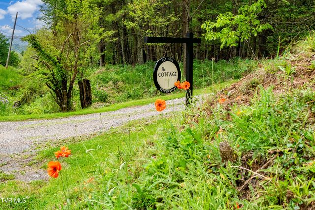 703 Pinecrest Street, Mountain City, TN 37683