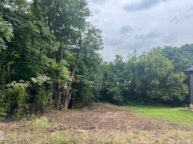 703 Langford Avenue, High Point, NC 27260