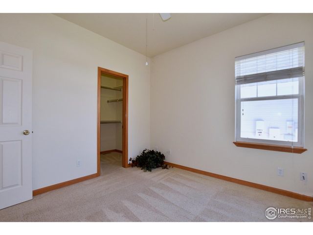 1047 Canal Dr, Windsor, CO 80550