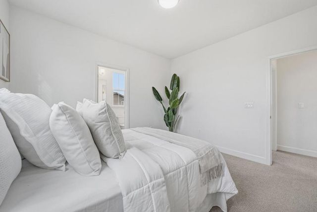 5724 Pandorea Terrace, Newark, CA 94560