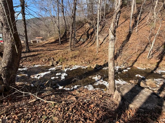 129 Roaring Run RD, Eagle Rock, VA 24085