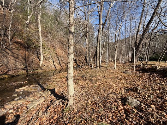 129 Roaring Run RD, Eagle Rock, VA 24085