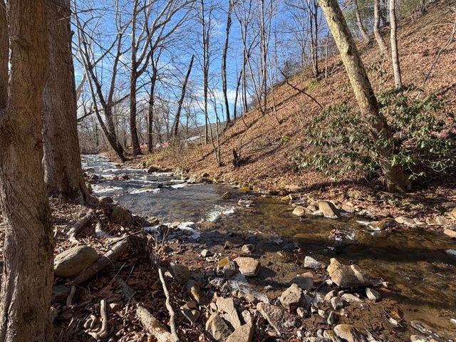 129 Roaring Run RD, Eagle Rock, VA 24085